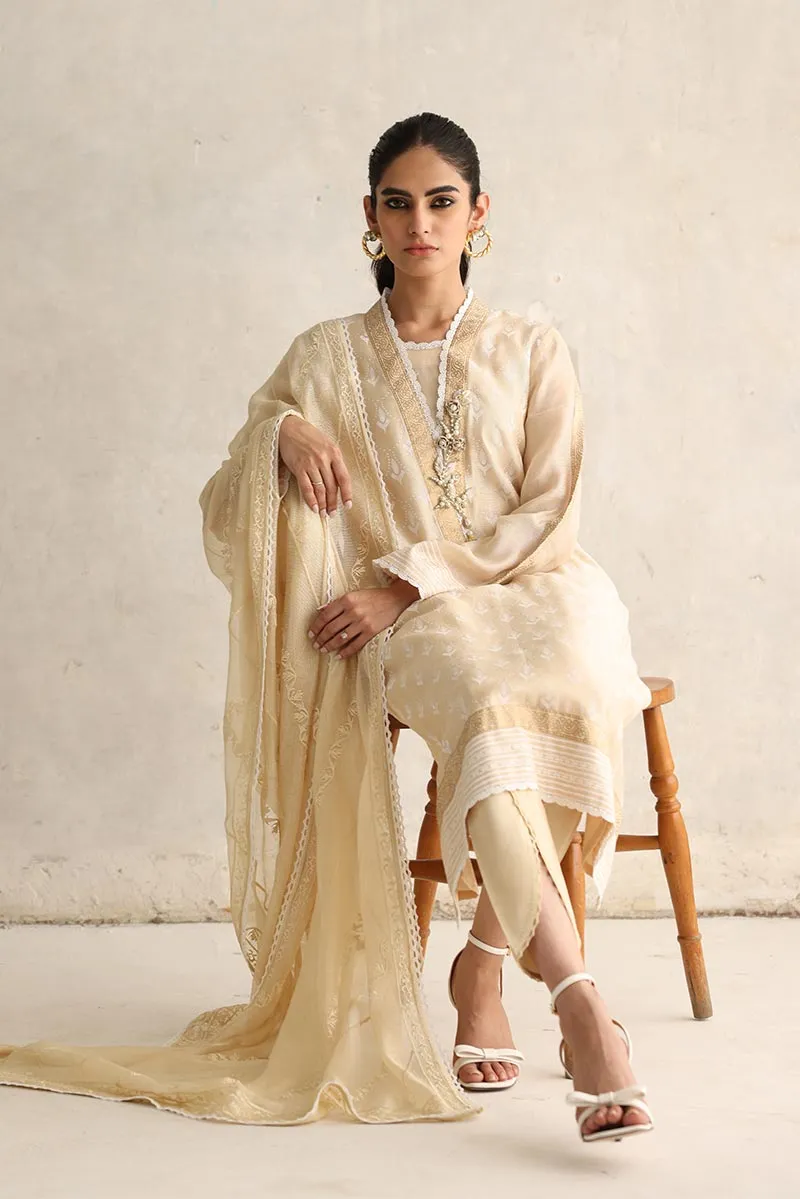 Beige Party Dress in Pakistan with Tulip Salwar #PF168