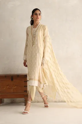 Beige Party Dress in Pakistan with Tulip Salwar #PF168