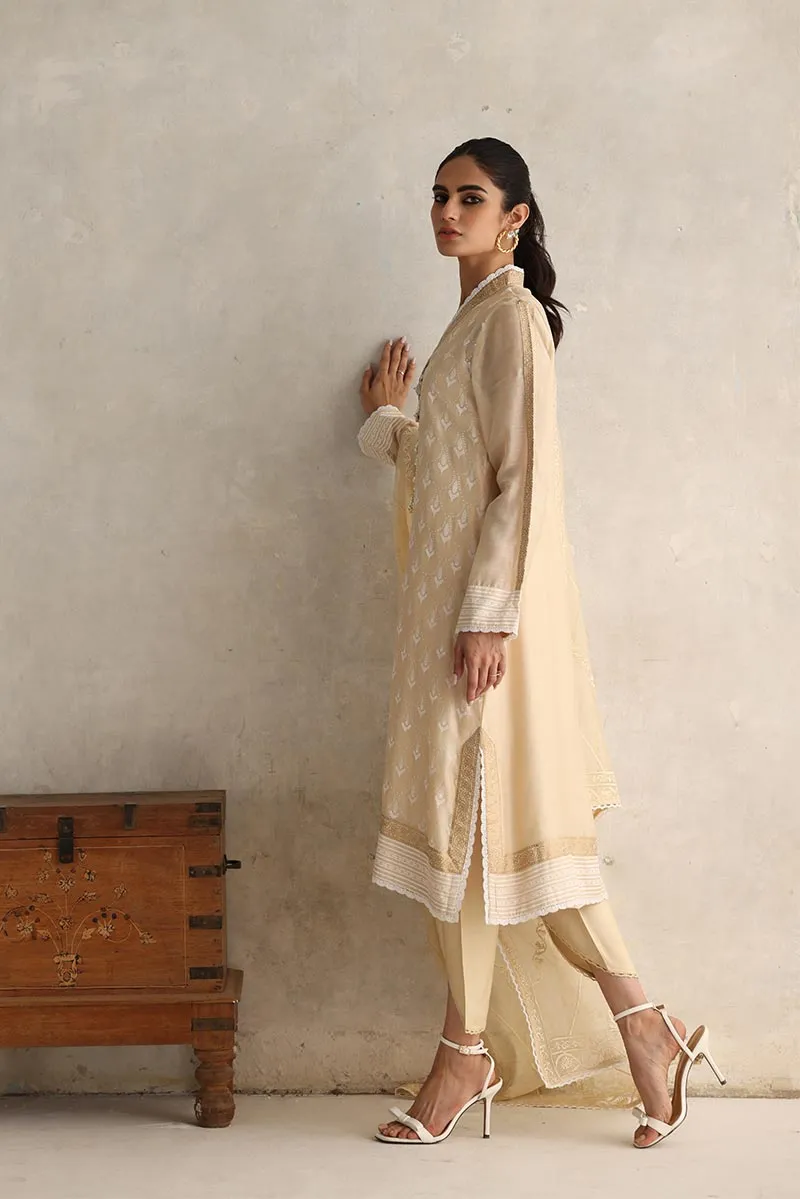 Beige Party Dress in Pakistan with Tulip Salwar #PF168