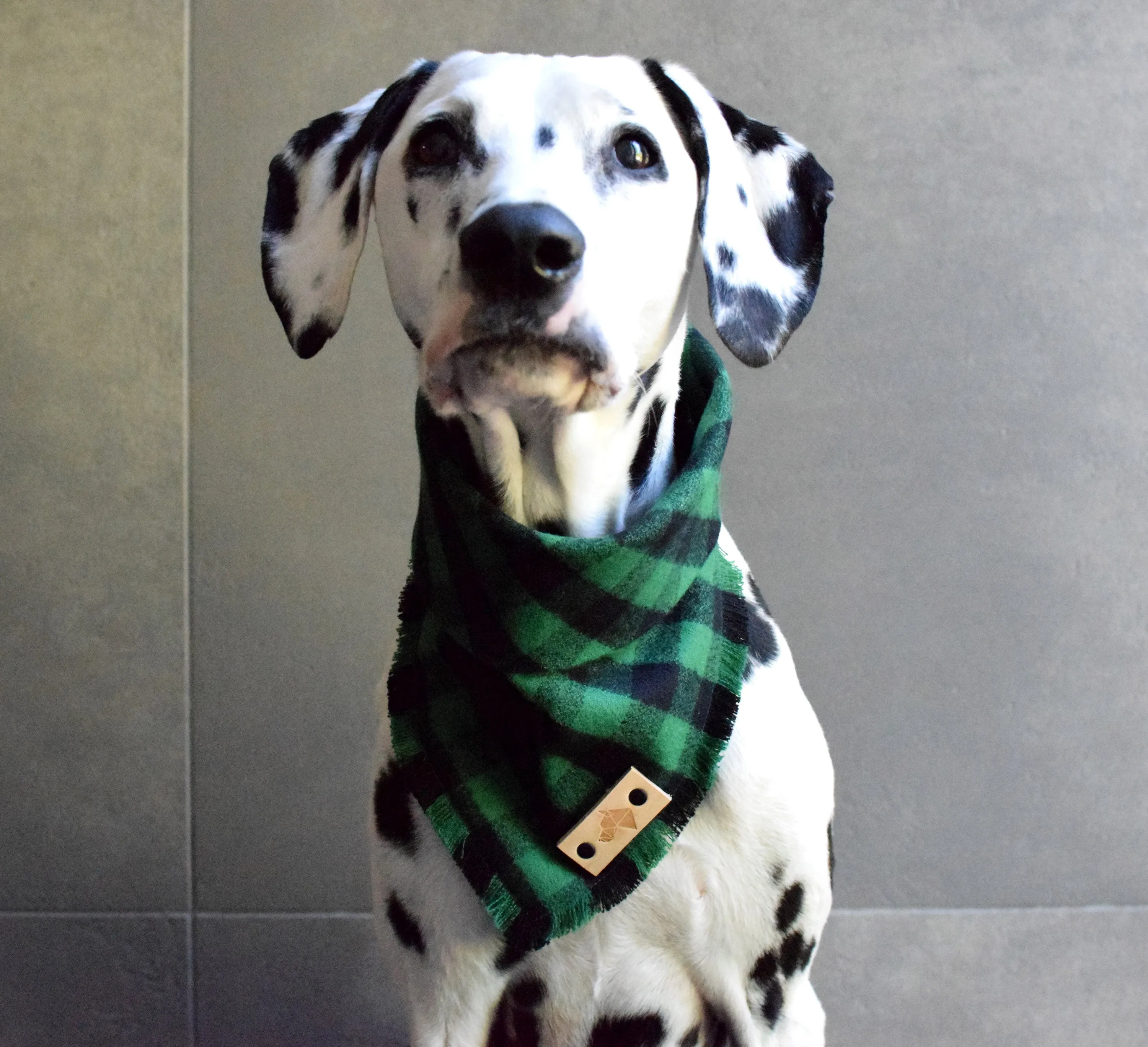 EMERALD Fringed Flannel Dog Bandana - Snap/Tie On Cotton Scarf