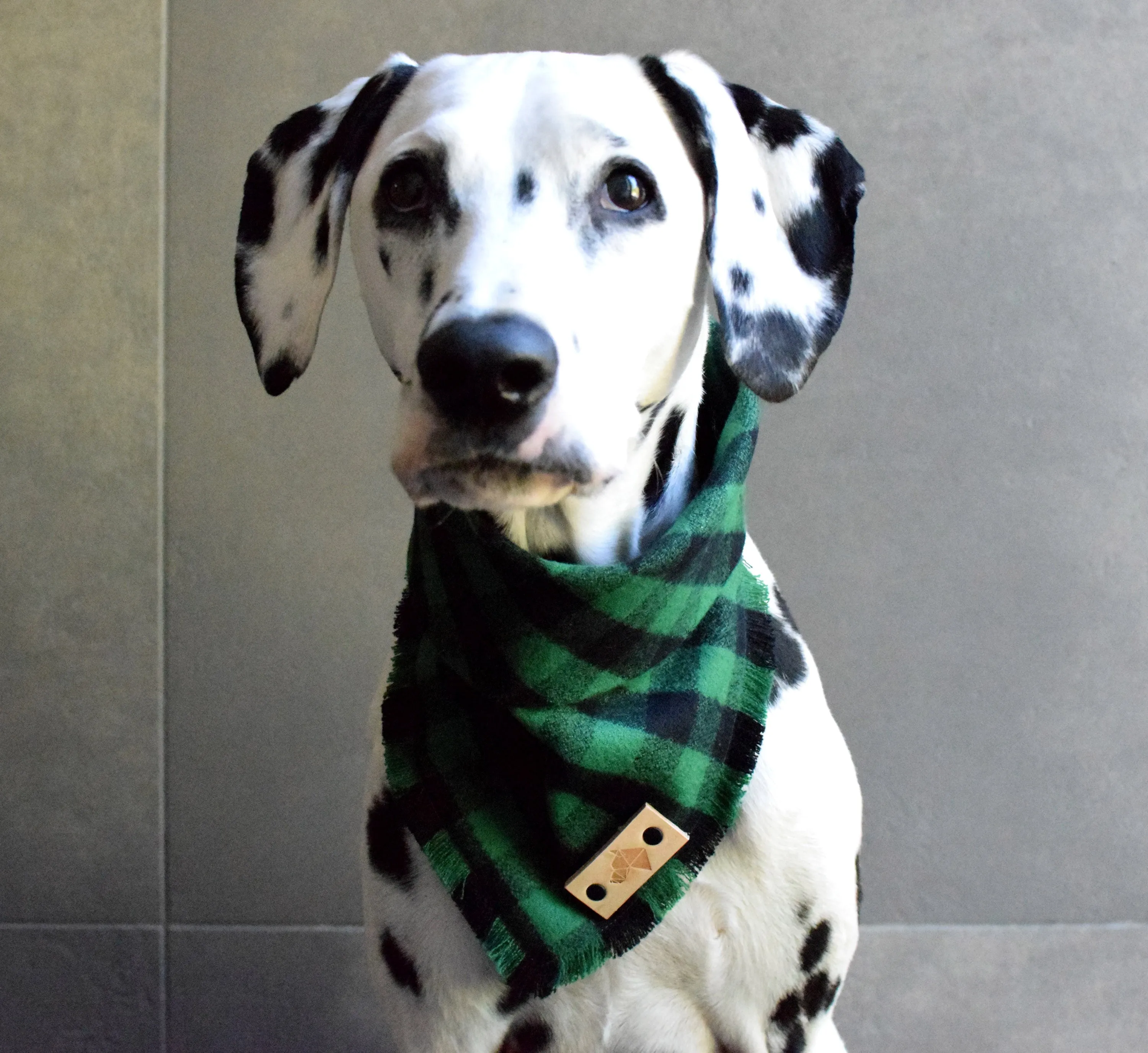 EMERALD Fringed Flannel Dog Bandana - Snap/Tie On Cotton Scarf