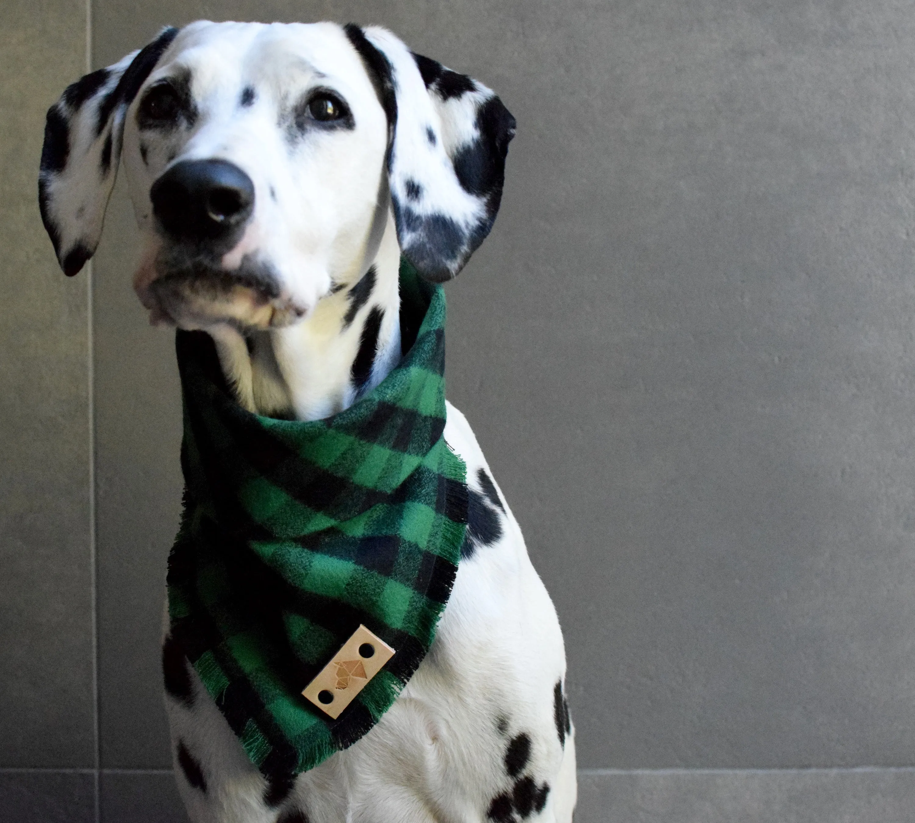 EMERALD Fringed Flannel Dog Bandana - Snap/Tie On Cotton Scarf