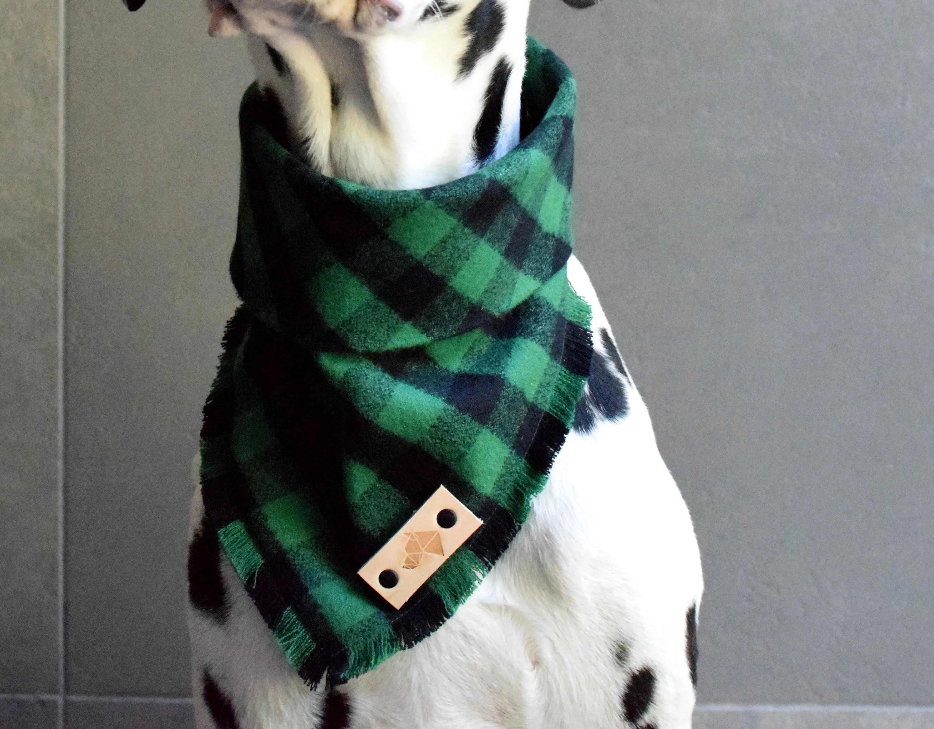 EMERALD Fringed Flannel Dog Bandana - Snap/Tie On Cotton Scarf