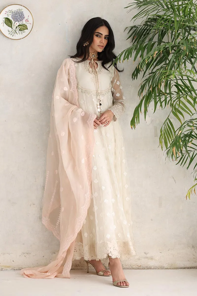 Pakistani Clothes in Ivory Shade by Designer #PF167