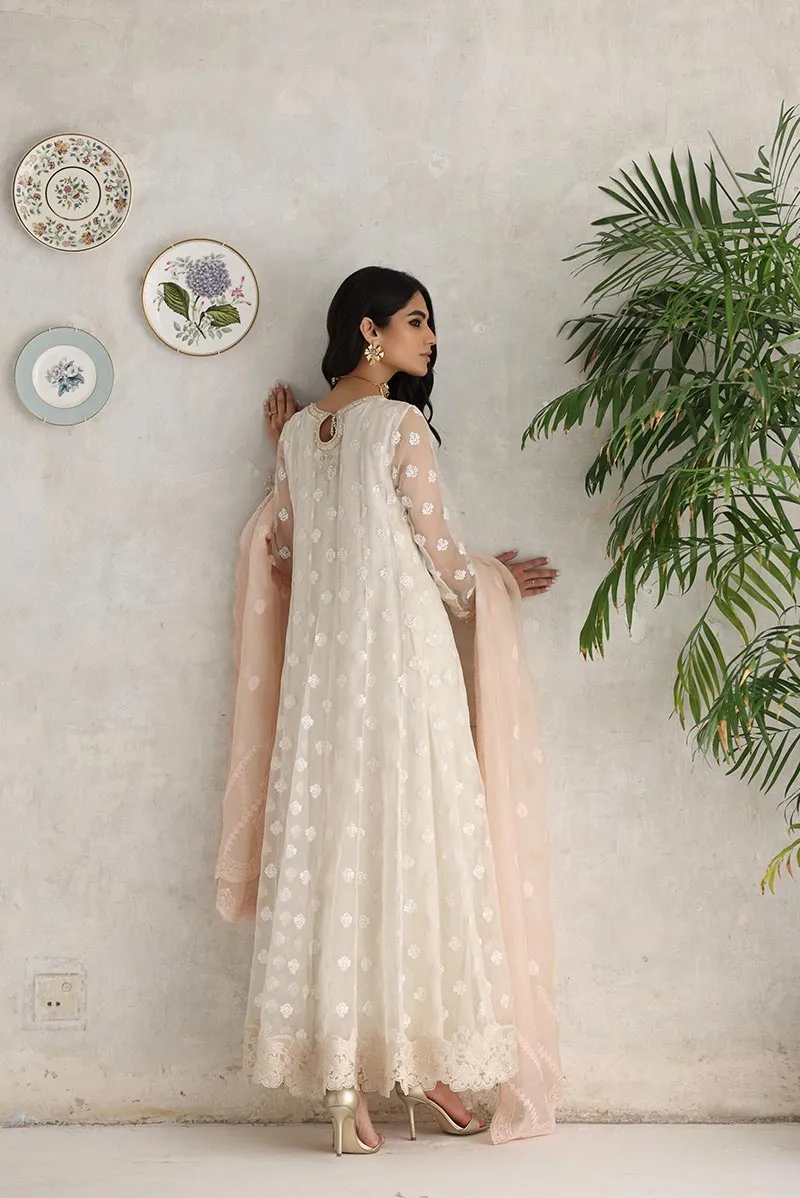 Pakistani Clothes in Ivory Shade by Designer #PF167