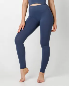 Royal Blue Plush High Waisted Leggings